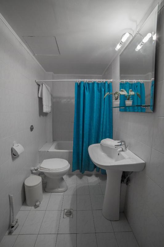 One-Bedroom Apartment (4-5 Adults) image 4