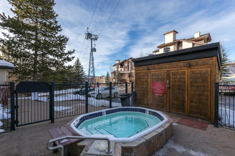 Ski In Ski Out Hot Tub Gas Grill in Picnic Area - image 16