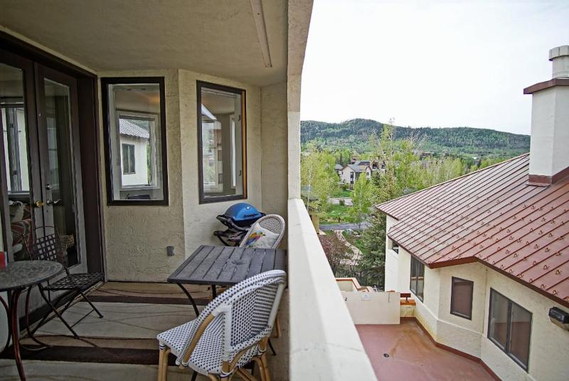 Outdoor Pool and Hot Tub Gas Grill on Patio Private Washer & Dryer - image 13