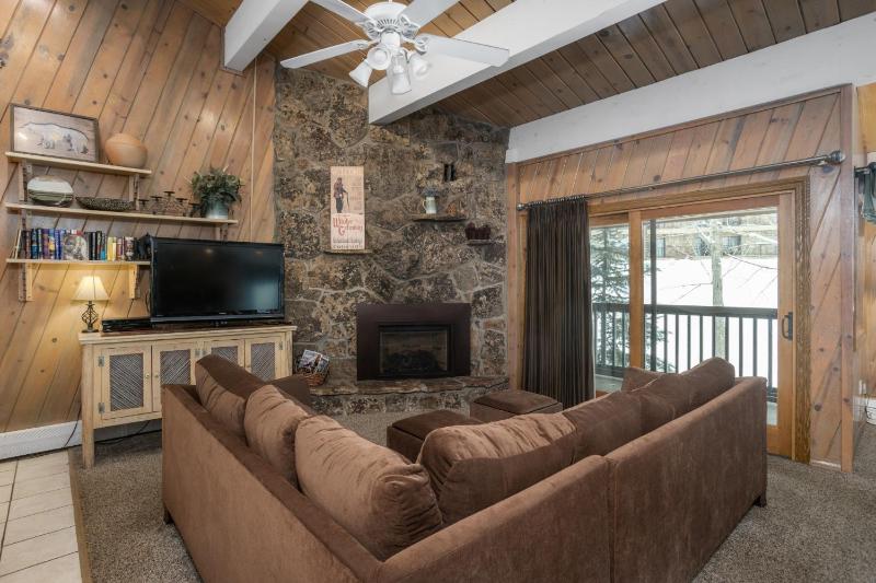 Outdoor Pool and Hot Tub Air Conditioned 135 Steps From Ski Access - image 24