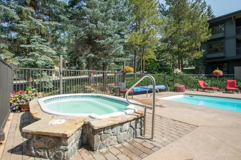 Outdoor Pool and Hot Tub Air Conditioned 135 Steps From Ski Access - image 28