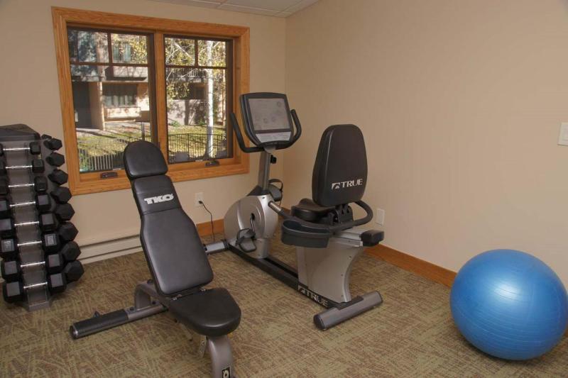 Outdoor Pool and Hot Tub Air Conditioned 135 Steps From Ski Access - image 32