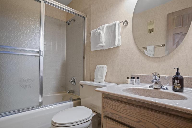 Outdoor Pool and Hot Tub Air Conditioned 135 Steps From Ski Access - image 37