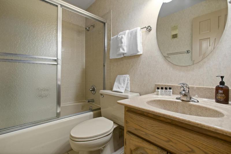 Outdoor Pool and Hot Tub Air Conditioned 135 Steps From Ski Access - image 19