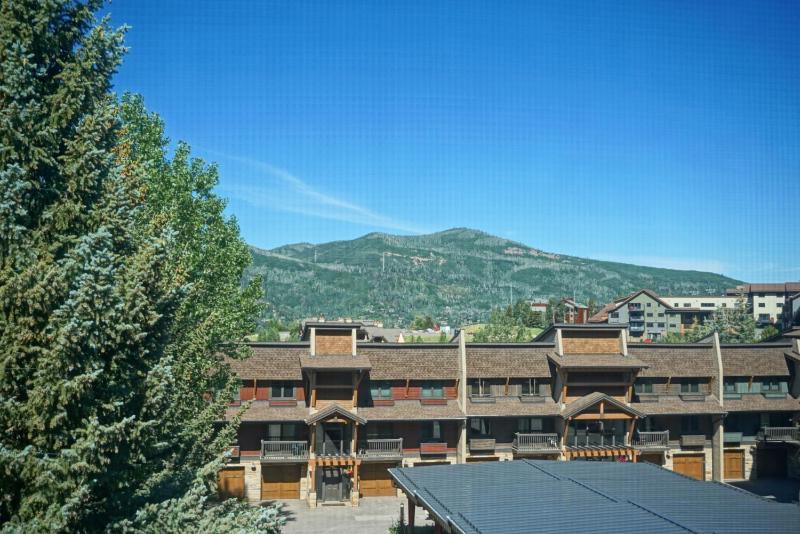 Outdoor Pool and Hot Tub Air Conditioned 135 Steps From Ski Access - image 22