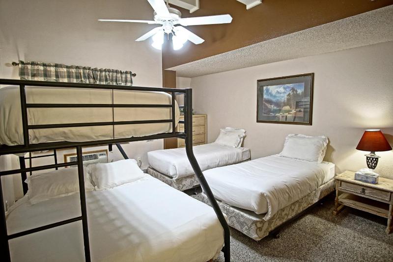 Outdoor Pool and Hot Tub Air Conditioned 135 Steps From Ski Access - image 3