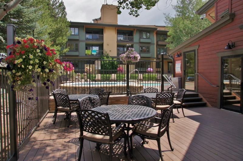 Outdoor Pool and Hot Tub Air Conditioned 135 Steps From Ski Access - image 14