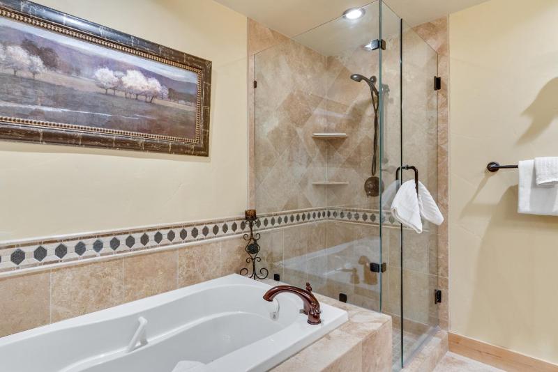 Outdoor Pools and Hot Tubs Air Conditioning Washer & Dryer In Unit Ski Mountain Views - image 21