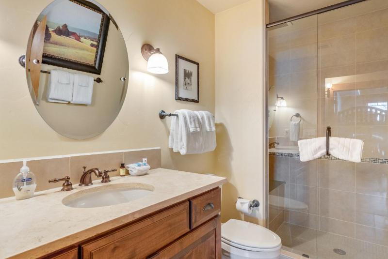 Outdoor Pools and Hot Tubs Air Conditioning Washer & Dryer In Unit Ski Mountain Views - image 16