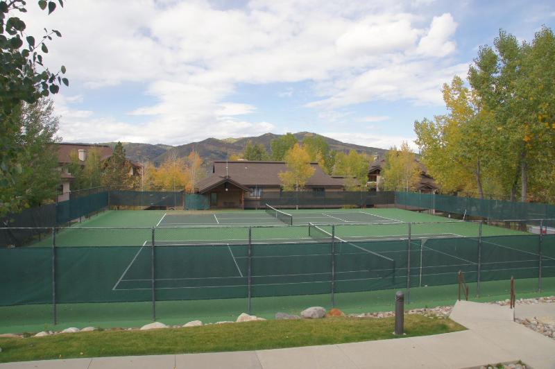 Outdoor Pools and Hot Tubs Air Conditioning Washer & Dryer In Unit Ski Mountain Views - image 19