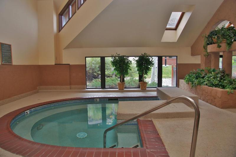Outdoor Pools and Hot Tubs Air Conditioning Washer & Dryer In Unit Ski Mountain Views - image 36