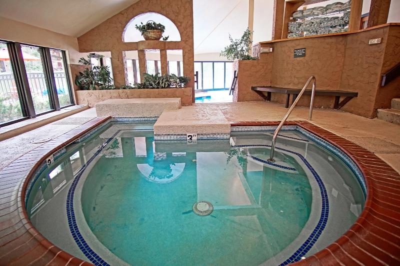 4 Pools and 10 Hot Tubs Renovated Penthouse Condo Ski Season Private Shuttle - image 37