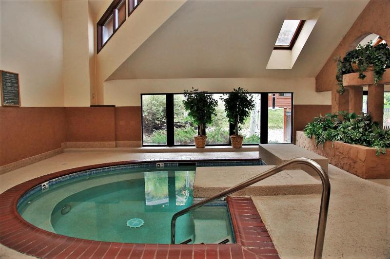 Outdoor Pool and Hot Tub Air Conditioning Covered Deck with Gas Grill Penthouse Level - image 12
