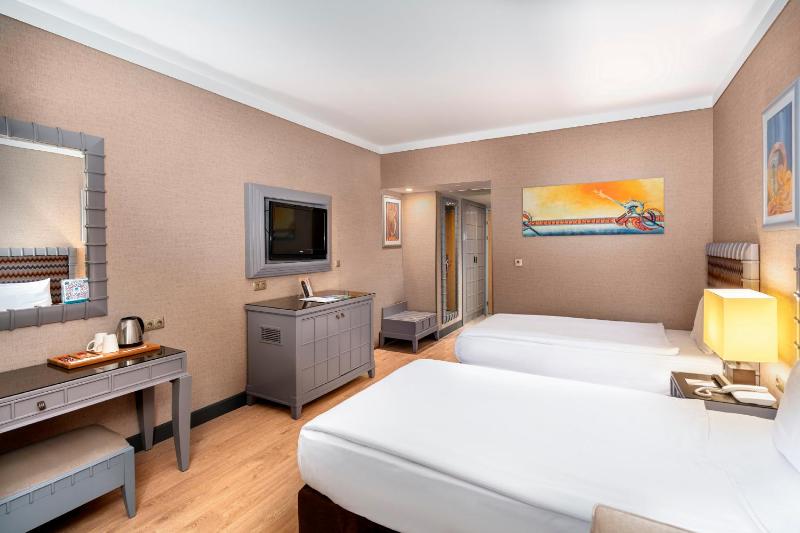 Standard Twin Room image 3