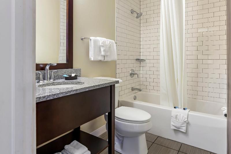Deluxe King Suite image 2