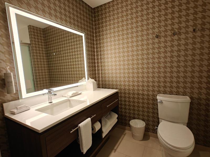 King Studio Suite image 3
