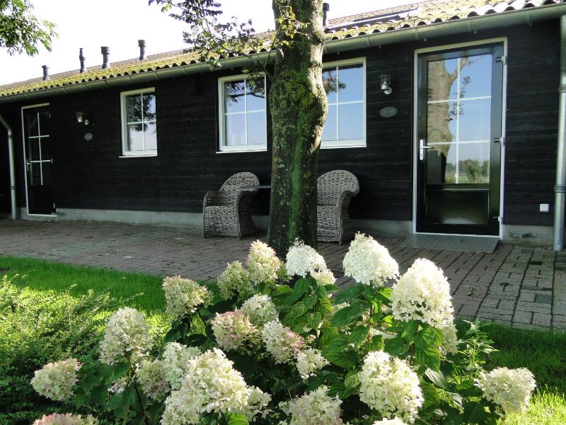 Standard Studio image 4