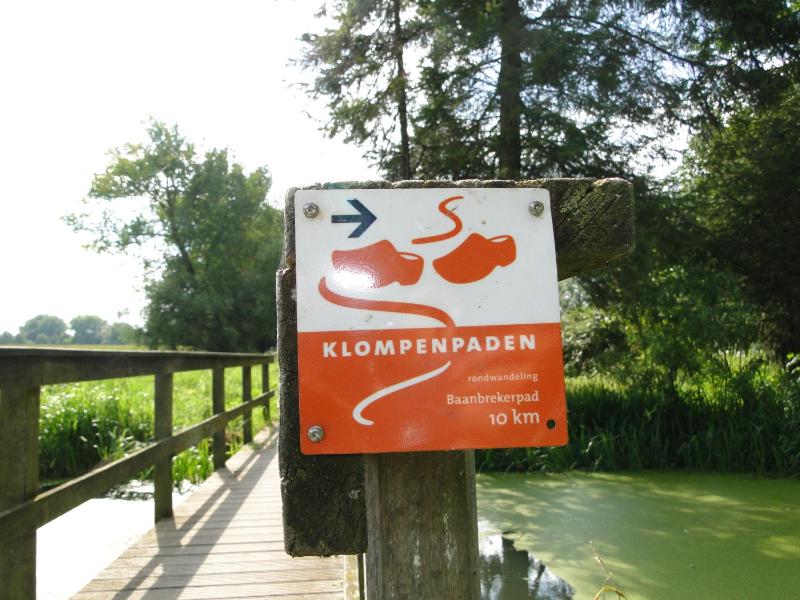 Standard Studio image 3