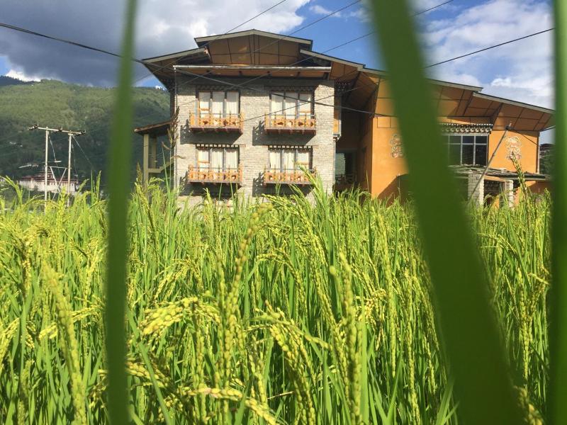 Spirit of Bhutan resort - image 7