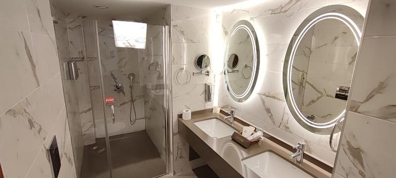 Deluxe Bosphorus Suite Balcony Room image 3