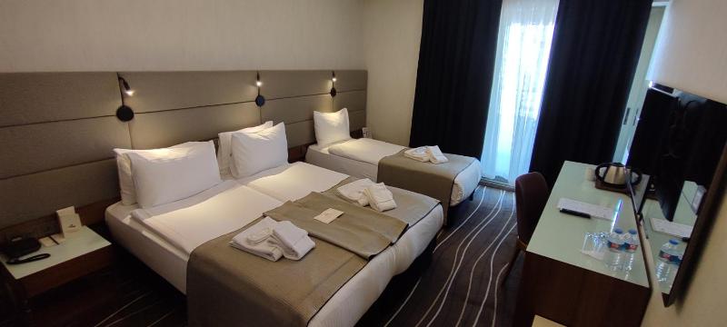 Deluxe Bosphorus Triple Balcony Room image 3