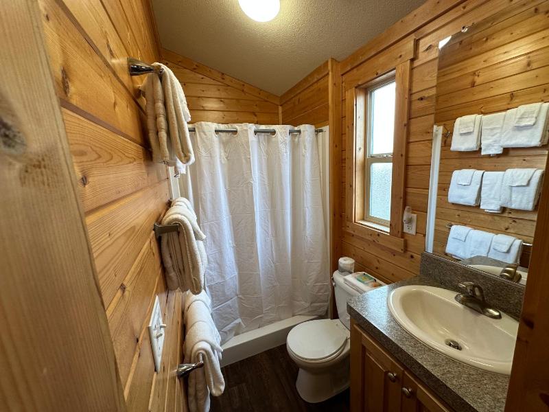 Bunkhouse Cabin image 3