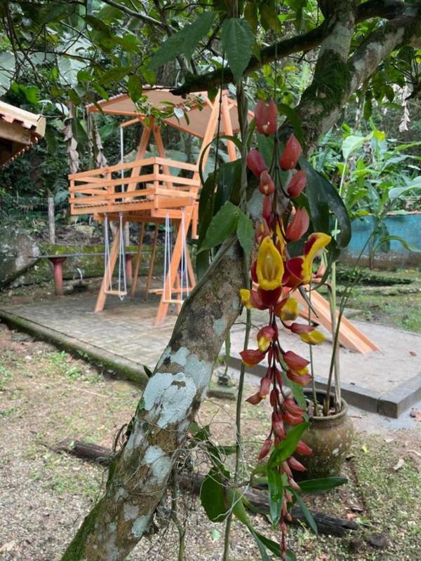 Pousada Canto de Itamambuca - image 10