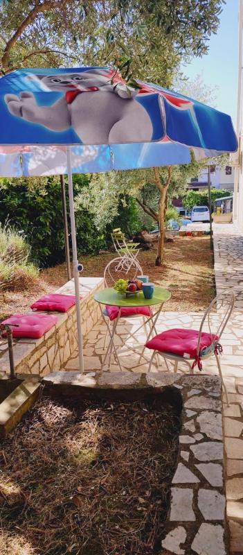 Studio with Terrace image 1