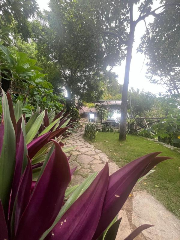 Ecolodge Tubagua Puerto Plata - image 47