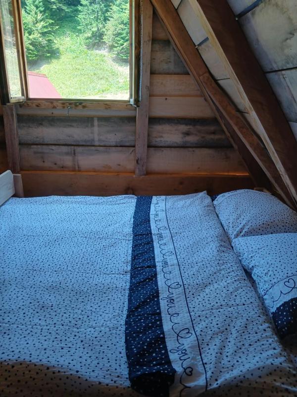 Standard Quadruple Room image 2