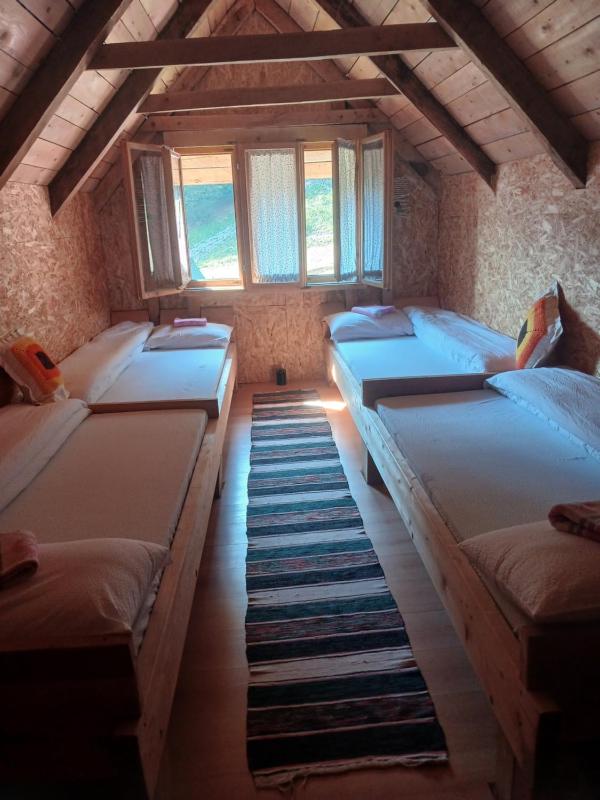 Standard Quadruple Room image 4