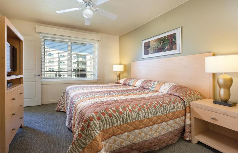 Apartment image 1