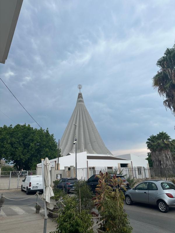AgoAri - image 5