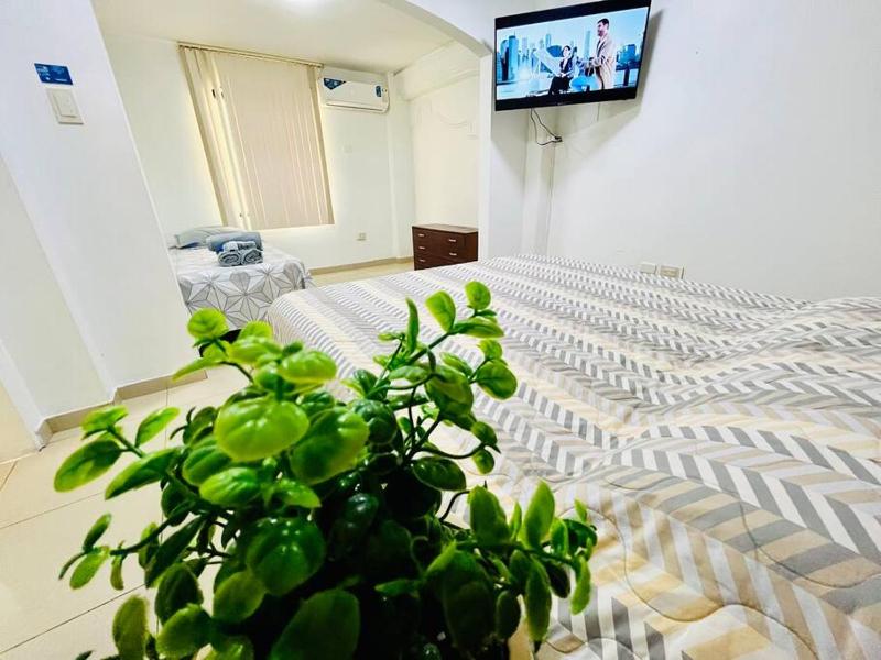 Gran Suite Junto Al San Marino Mall - image 7