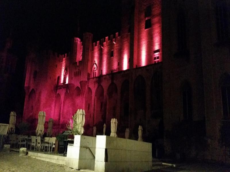 Hôtel du Palais des Papes - image 20
