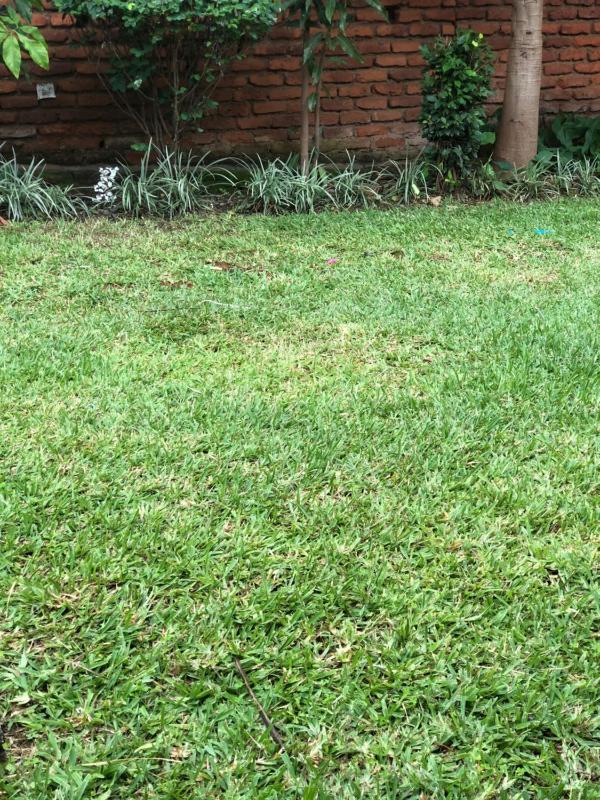 Home stay with Joy - image 6