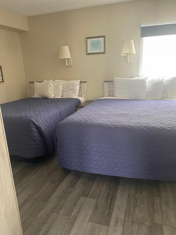 Queen Suite with Sea View image 4
