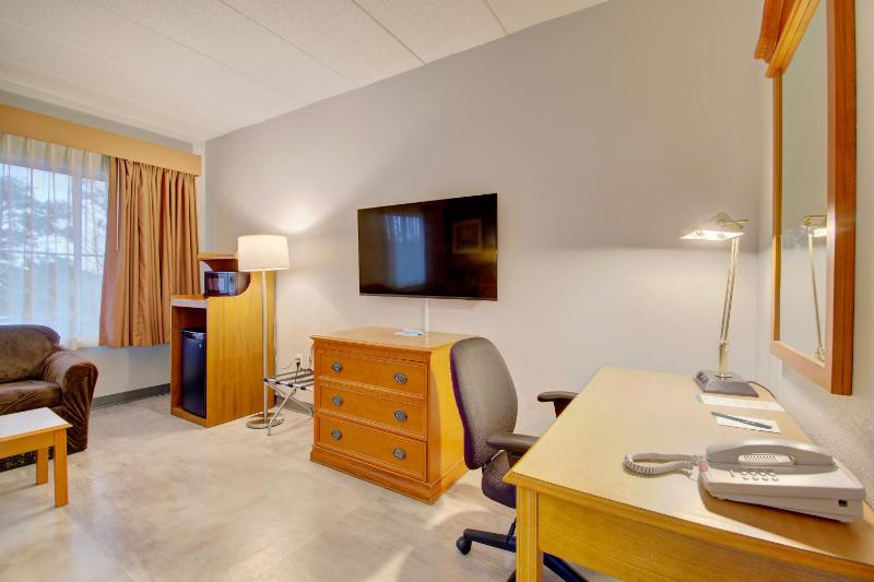 Deluxe King Suite image 3