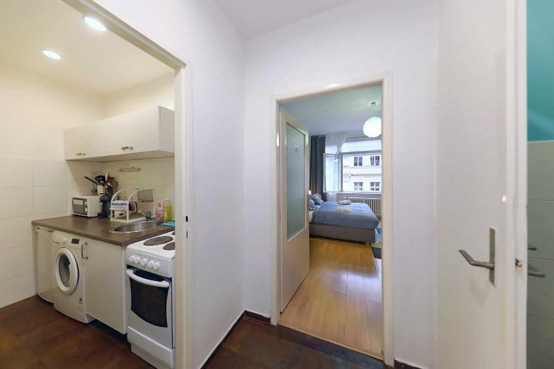 One-Bedroom Apartment image 3