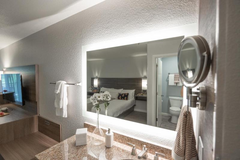 Classic King Room with View image 2