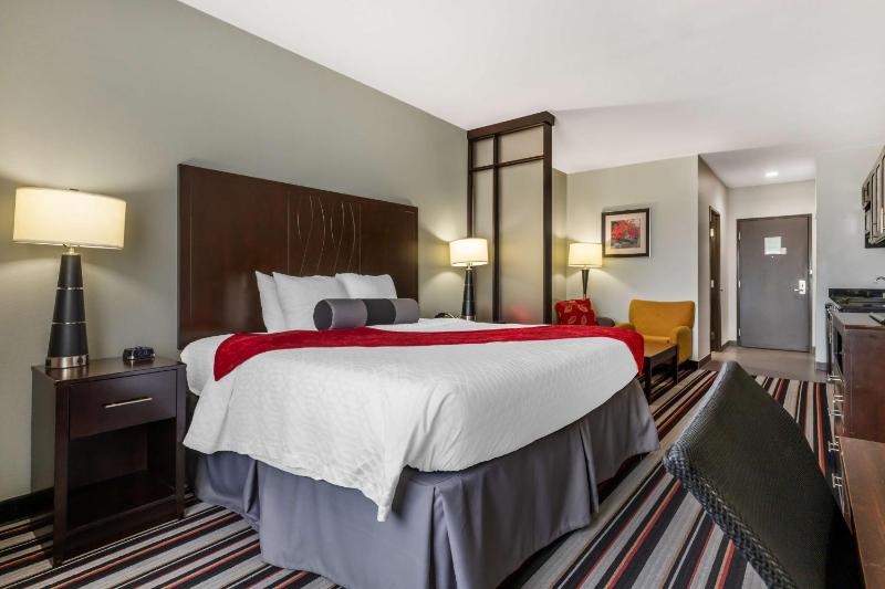 King Suite - Disability Access image 4