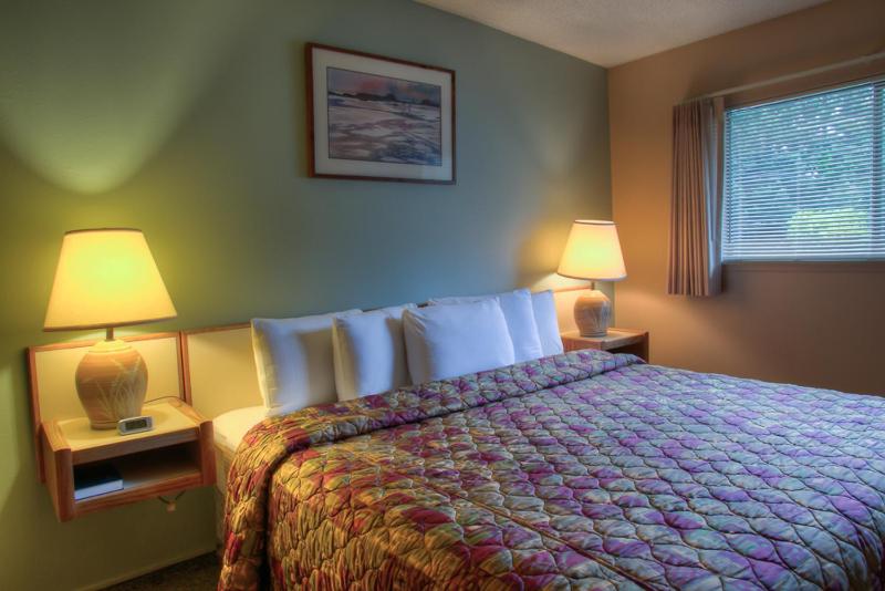One-Bedroom Suite image 4