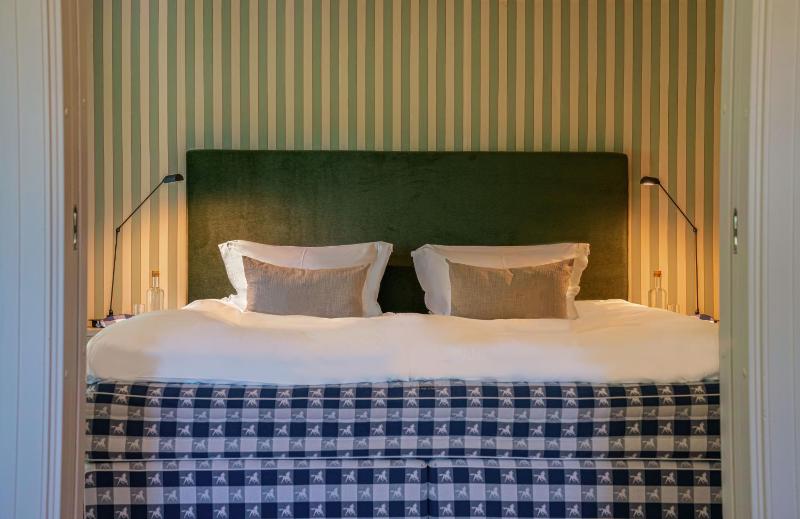 Deluxe King Suite image 1