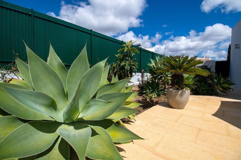 Casa Ana Superbly Renovated with Heated Private - image 11