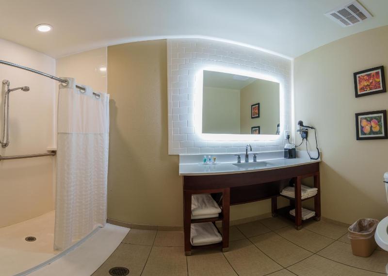 Accessible King Suite with Roll-In Shower - Non Smoking image 2