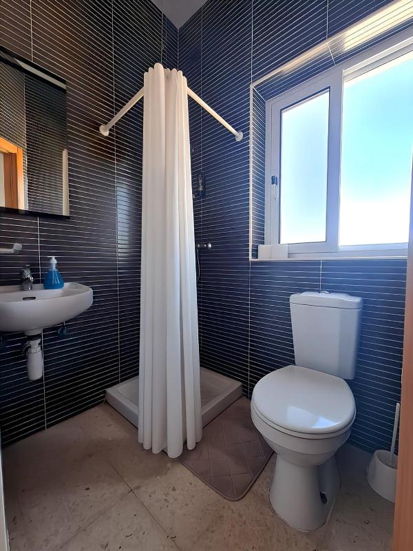 Single Room image 1