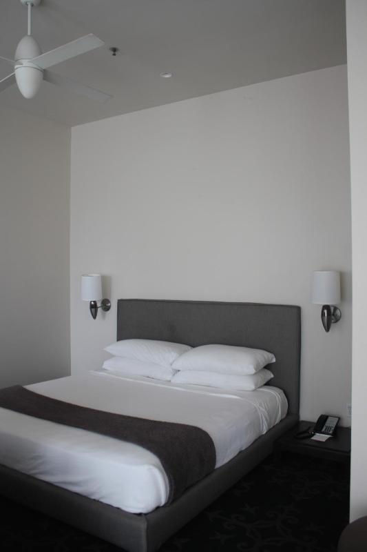 Loft 523 - image 7