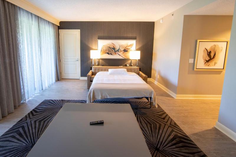 One-Bedroom King Studio Suite with Sofa Bed image 4