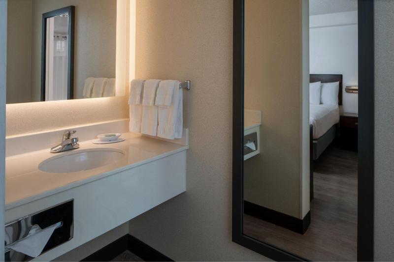 One-Bedroom Queen Suite with Sofa Bed image 2