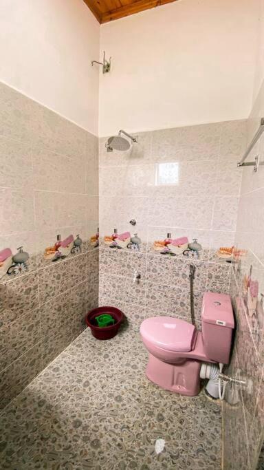 sky blue Villa - image 9